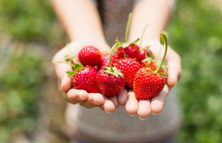 Un postre diferente Fresas Jubilèe