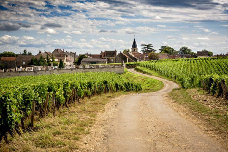 5 razones por las que querrás viajar a Borgoña
