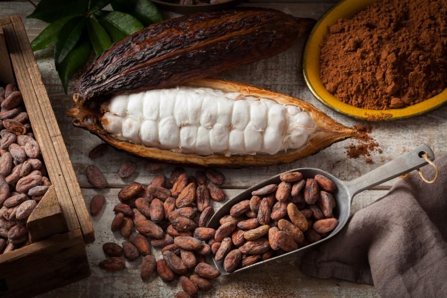 La Ruta del Cacao en Tabasco que tienes que conocer — Marco Beteta