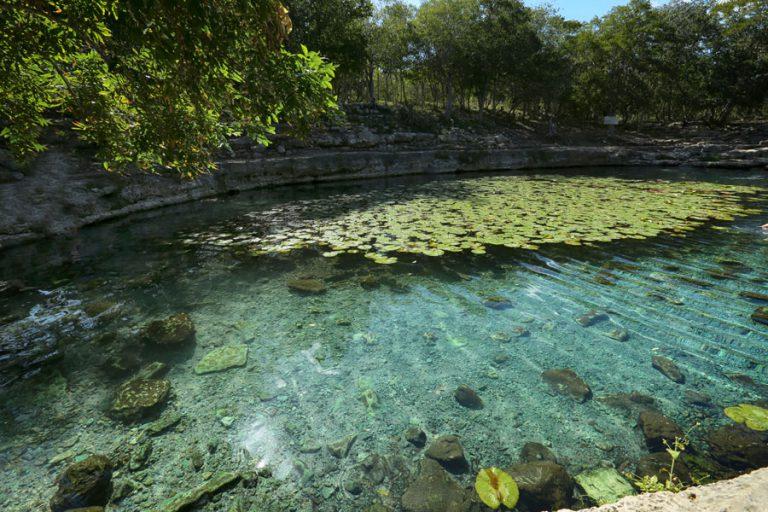 5 cenotes de Yucatán para una aventura de profundidad