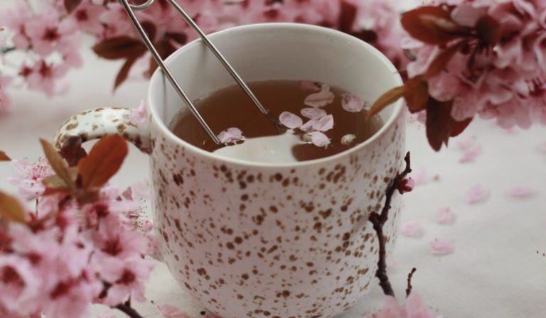 Guía para preparar tés e infusiones como un experto