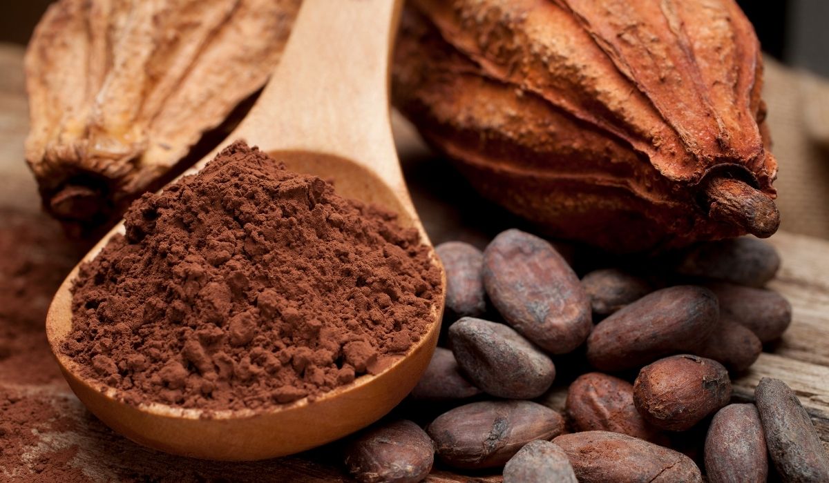 ¿cuál Es La Diferencia Entre Cacao Y Cocoa — Marco Betetaemk 8409