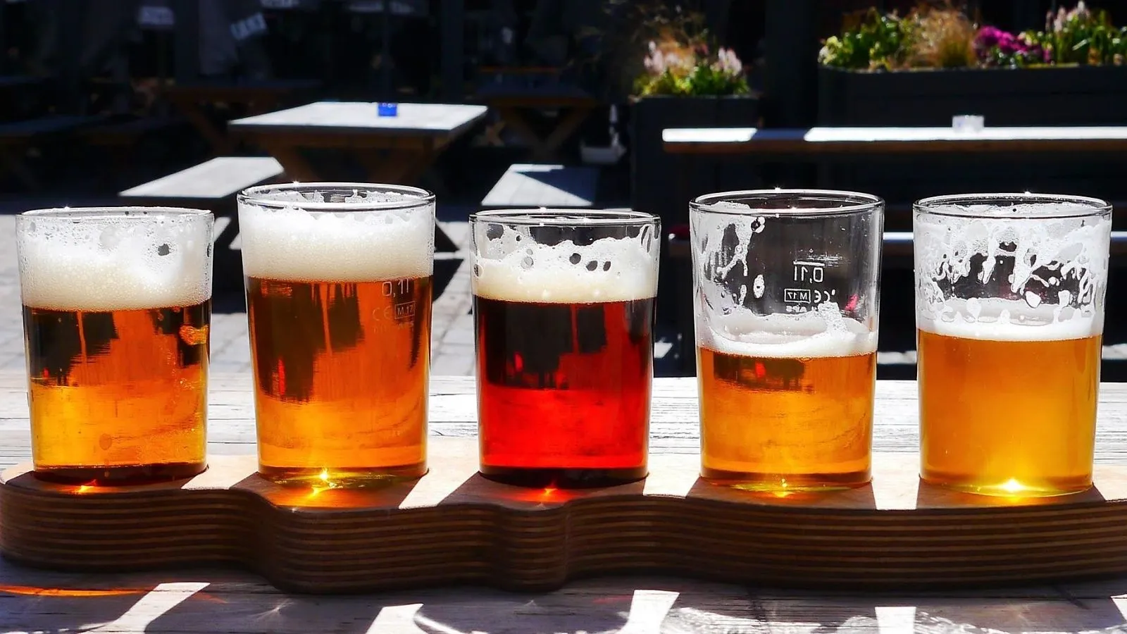 ¡Día de la cerveza! 7 curiosidades para festejarla como se debe
