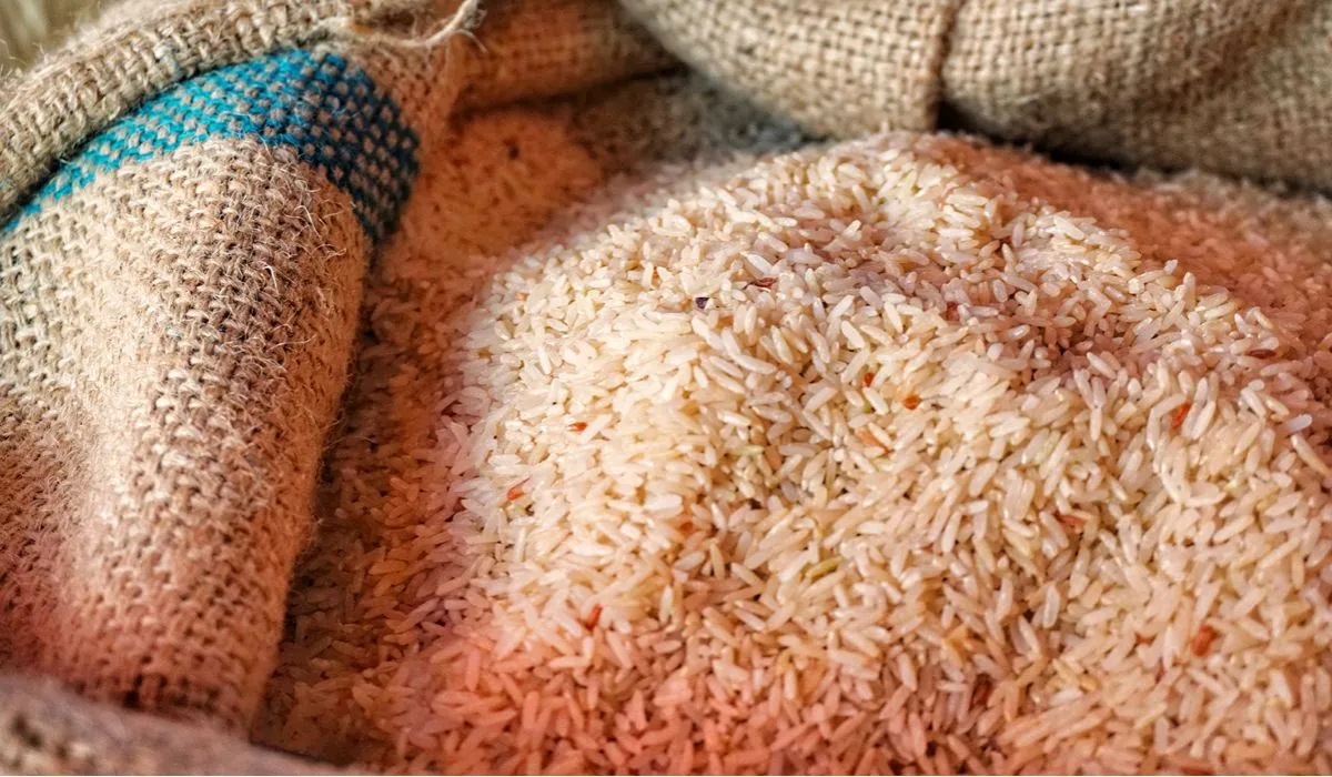 El arroz del Estado de Morelos y su Denominación de Origen