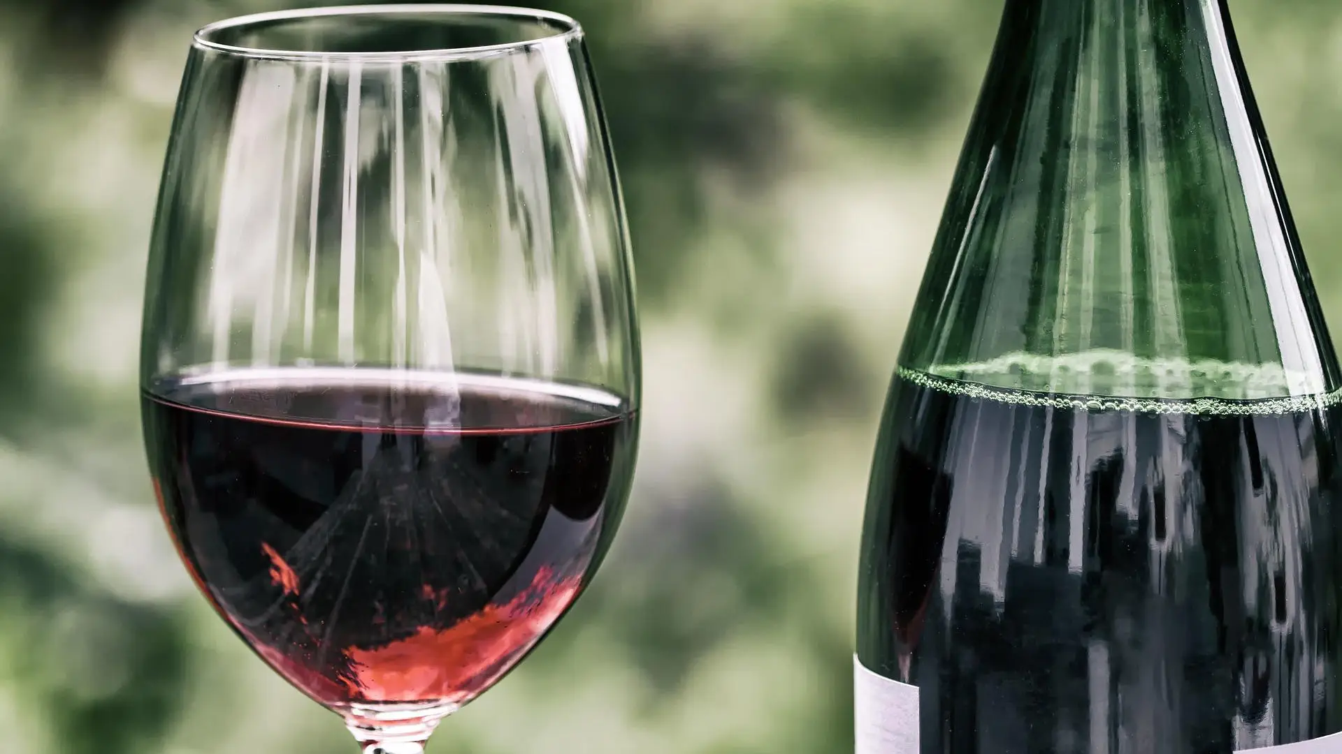 Lo que hace especial al vino chileno (y unas recomendaciones)