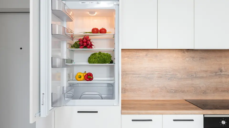 Guía práctica para acomodar tu refrigerador
