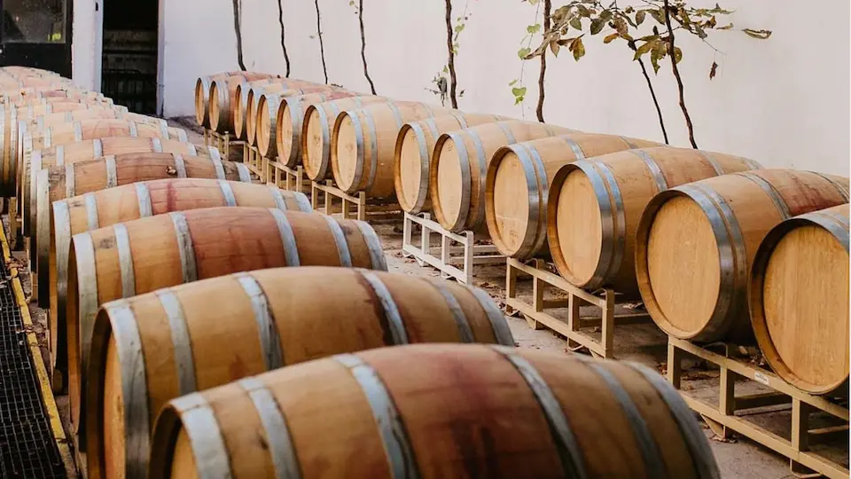Con vinos nuevos y comida rica, Casa Madero celebra 425 años