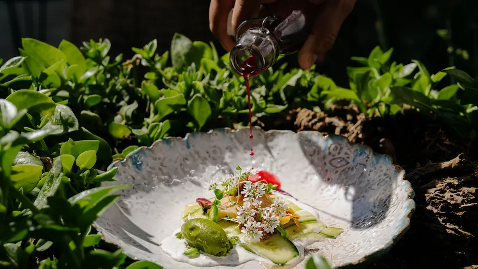 Düm, una experiencia gastronómica sustentable en Todos Santos