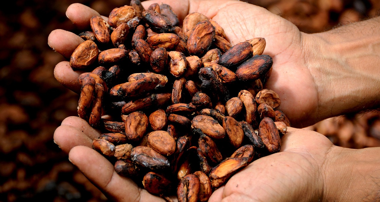Ceremonia del cacao: ¿qué es y dónde vivir una?