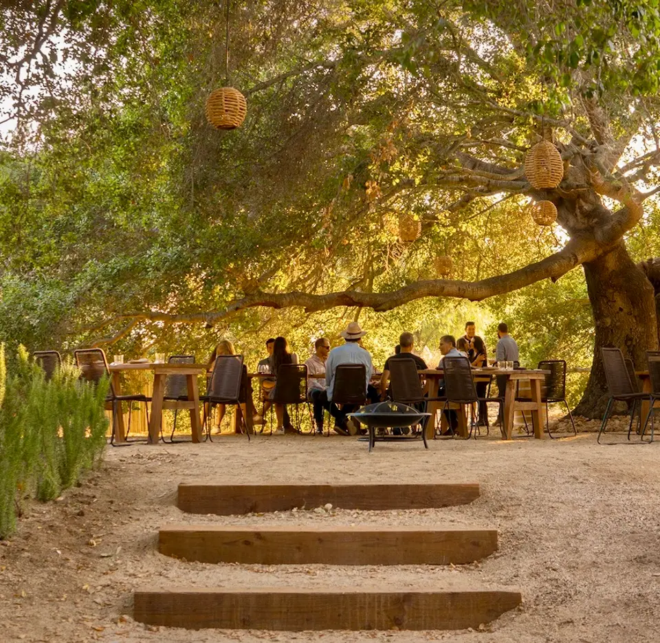 primitivo valle de guadalupe steakhouses méxico