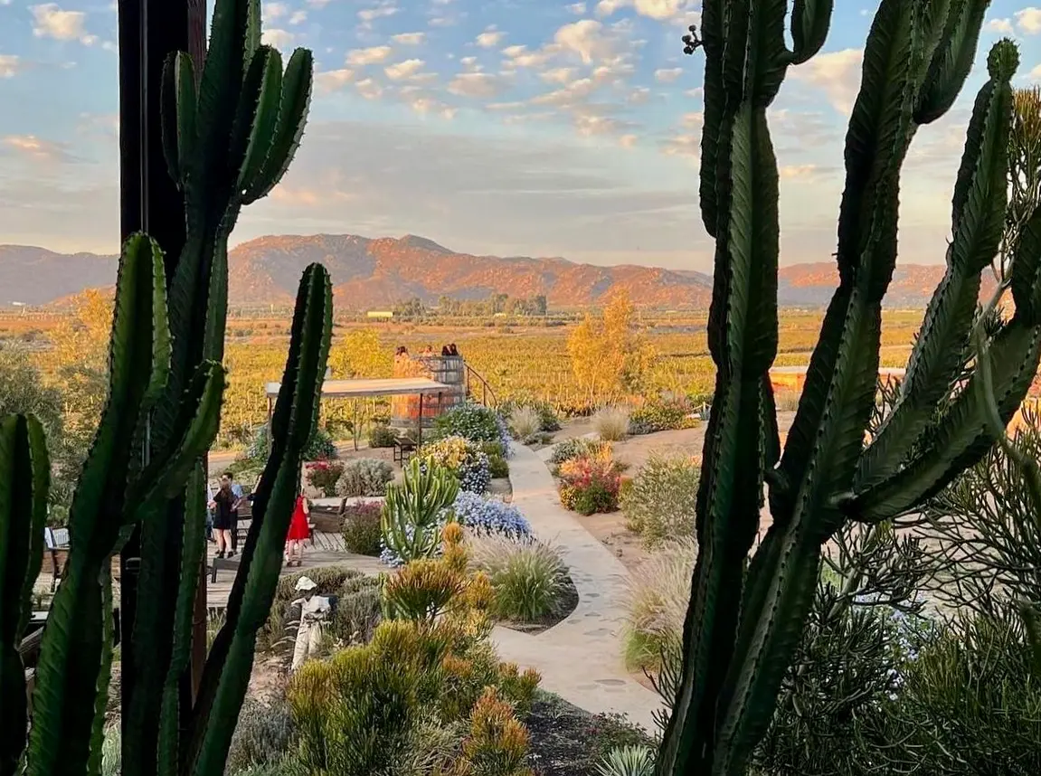 Nuestros restaurantes favoritos en el Valle de Guadalupe