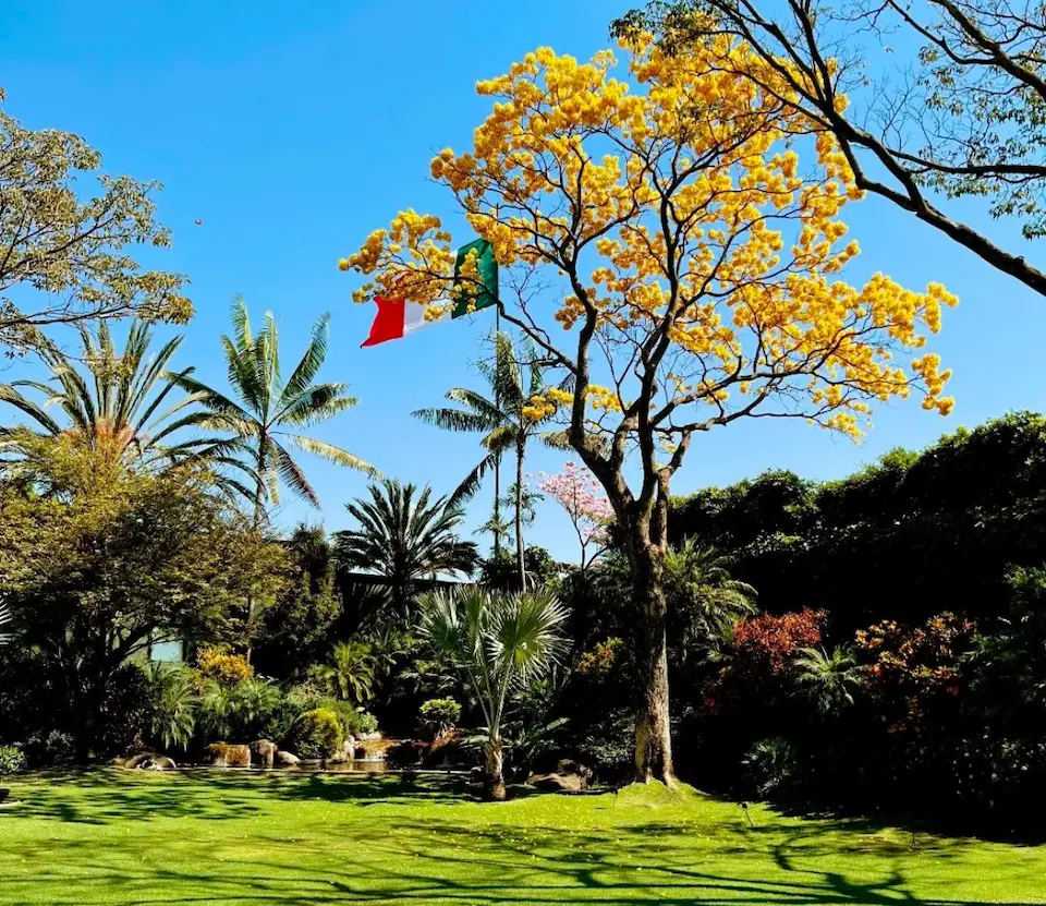 jardines para comer en Cuernavaca